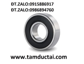 BẠC ĐẠN SKF 6202