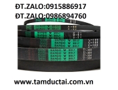 DÂY CUROA BANDO BẢN D CHÍNH HÃNG 