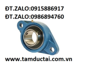  GỐI ĐỠ BẠC ĐẠN 