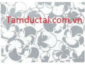 Inox Tấm Trang Trí