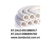 ỐNG RUỘT GÀ LUỒN DÂY ĐIỆN