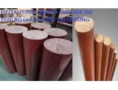 PHÍP TRÒN ĐẶC 70MM 