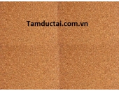 TẤM LIE 