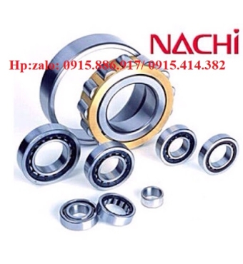 BẠC ĐẠN TRÒN NACHI