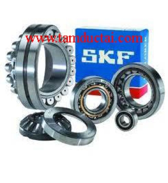 BẠC ĐẠN SKF 