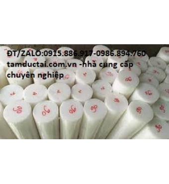 NHỰA PE TRÒN ĐẶC PHI 100MM