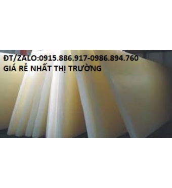 NHỰA TẤM PA 10MM