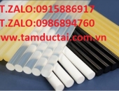 CÂY SILICON