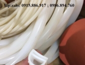 ỐNG SILICON 