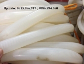 ỐNG SILICON 