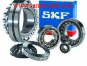 BẠC ĐẠN SKF 