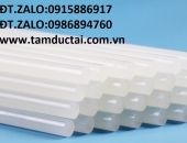 CÂY SILICON