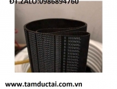 DÂY CUROA RĂNG BANDO MXL, XL, L, H, XH, XXH