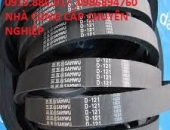 DÂY CUROA SANWU BẢN D