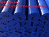 NHỰA MC TRÒN ĐẶC PHI 140MM