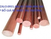 PHÍP TRÒN ĐẶC 40MM 