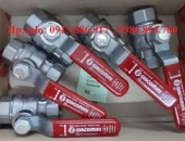 VAN BI TAY GẠT  (GIACOMINI )ITALY  1'' (34MM)